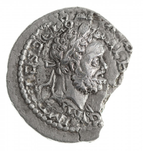 N/11388/ML - Av.: Popiersie cesarza w wieńcu laurowym w prawo. W otoku: IMP CAES D CLO ALB[IN AV]G

Rv.: Wiktoria siedząca w lewo, trzymająca w prawej dłoni palmę a w lewej tarczę wspartą na kolanie. Na dole tarcze. W otoku: VI[CT] AVG COS II
