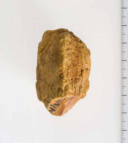 Surowiec bursztynowy, wstępnie obrobiony o kształcie sześcianu.