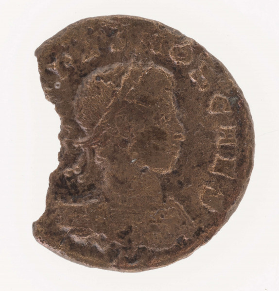 AV. Popiersie Kryspusa w zbroi w profilu w prawo. Na jego głowie podwójny wieniec laurowy. W otoku napis: 
[CRIS] PVS NOB CAES

RV. W wieńcu z liści laurowych napis:
VOT / V
W otoku napis:
[DOMINORV]M N[O]STRORVM C[AE]S

Moneta ułamana.