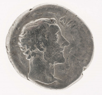 AV. Głowa Antoninusa Piusa w profilu w prawo. W otoku napis:
[DIVVS]  -  ANTONIN [VS]

RV. Orzeł na ołtarzu z głową w lewo. W otoku napis:
[CONSECRATIO]