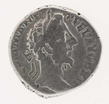 AV. Głowa cesarza w wieńcu laurowym w profilu w prawo. W otoku napis:
[M] COMM ANT - P FEL AVG BRIT

RV. Stojący Virtus w lewo. W jego rękach włócznia i  posążek Wiktorii, tu zatarty. W otoku napis:
VIR [TVT AVG] P M TR P XII IMP VIII COS V P P