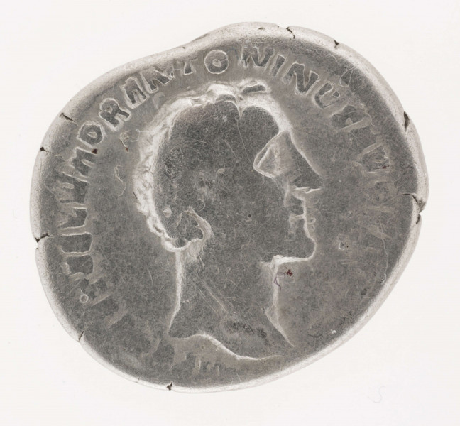 AV. Głowa cesarza w profilu w prawo. W otoku napis:
[I] MP C[AES] T AEL HADR ANTONINVS AVG PIVS

RV. Stojąca Pax w lewo. W ręce długie berło, drugi atrybut zatarty. W otoku napis:
TR POT XV  -  [COS] I I I I
Na dole w docinku napis: PAX