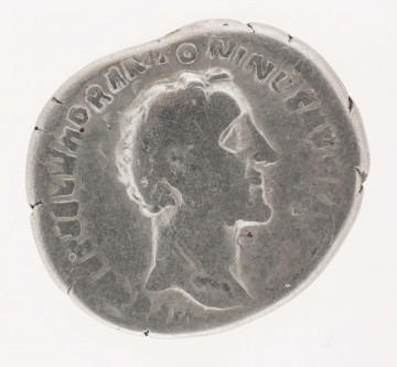 AV. Głowa cesarza w profilu w prawo. W otoku napis:
[I] MP C[AES] T AEL HADR ANTONINVS AVG PIVS

RV. Stojąca Pax w lewo. W ręce długie berło, drugi atrybut zatarty. W otoku napis:
TR POT XV  -  [COS] I I I I
Na dole w docinku napis: PAX