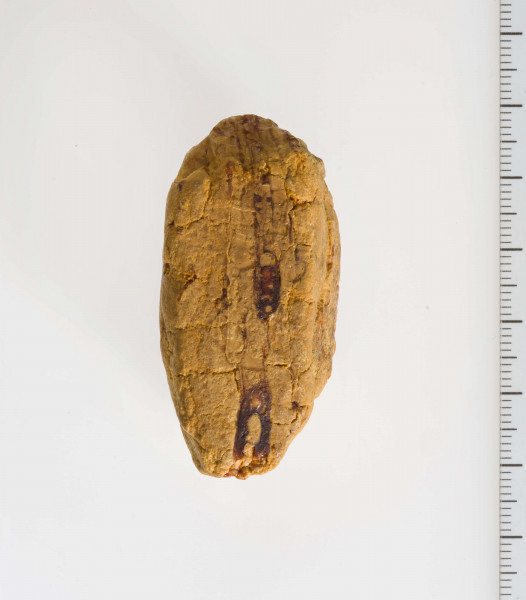 Surowiec bursztynowy, wstępnie obrobiony o kształcie sześcianu.