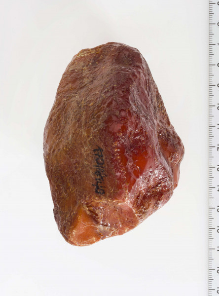 Surowiec bursztynowy 