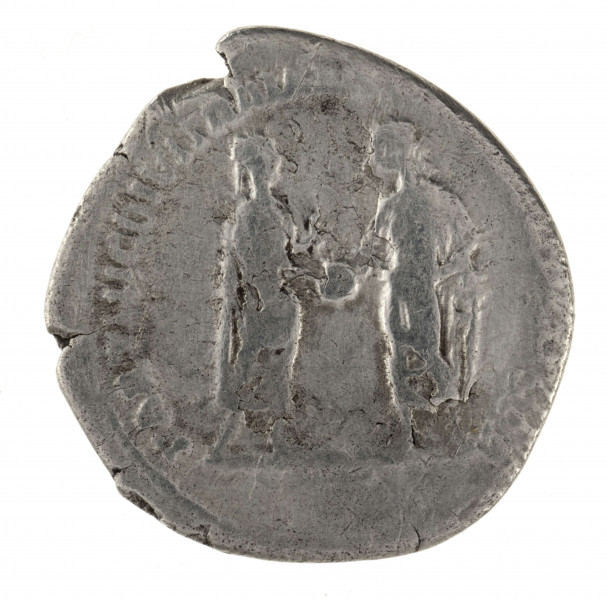 AV. Popiersie cesarza w profilu w prawo, w wieńcu laurowym na głowie. W otoku napis:
IMP CAES TRAIAN HADRIAN OPT AVG GER [DAC]

RV. Stojące postacie Hadriana i Trajana, zwrócone do siebie, podające sobie dłonie. W otoku napis:
PARTHIC DIVI TRAIAN [AVG F P M TR P] COS [P P]
Napis w odcinku nieczytleny.