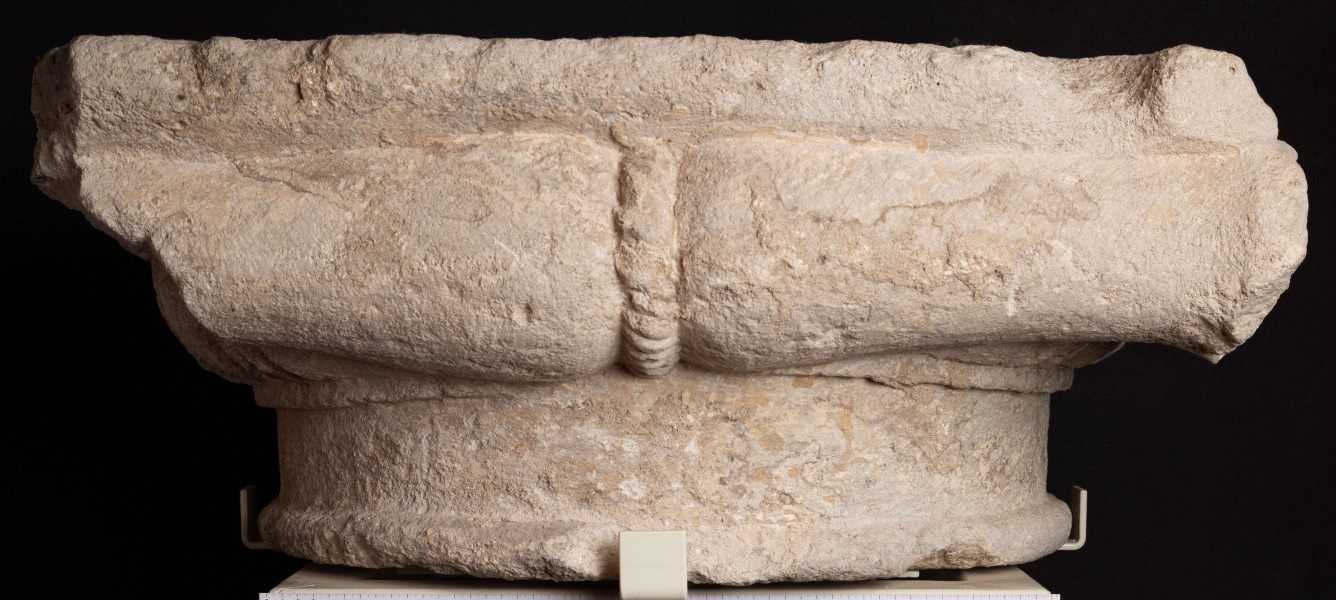 DA/46/ML -  Kapitel renesansowy, w stylu jońskim, element renesansowego wnętrza zamku.