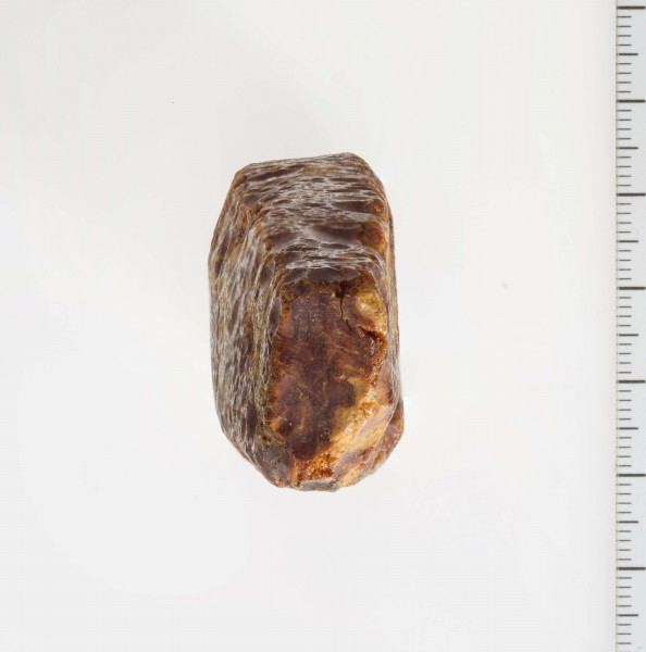 Surowiec bursztynowy, wstępnie obrobiony w formie wydłużonego trapezu. Surowiec w całości pokryty korą, widoczne ślady obróbki mechanicznej fragmentów płaszczyzn.