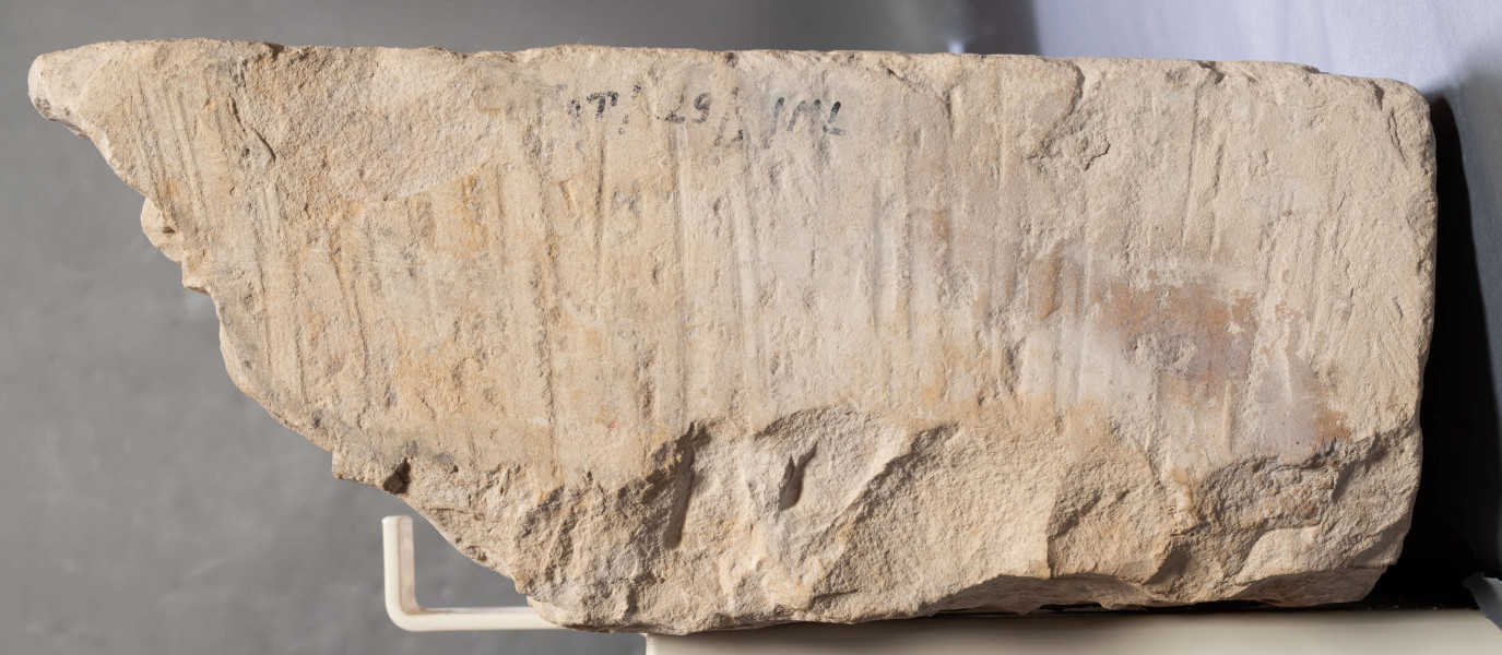 DA/16/ML - Nadproże portalu lub  gzyms nadokienny, z płaskorzeźbionym kimationem jońskmi, który powtarza ornamentalny motyw  wolich oczu  z zamkowego kapitelu, w znacznie uproszczonej formie. Może to wskazywać na naśladownictwo rzemieślników o mniejszej biegłości.