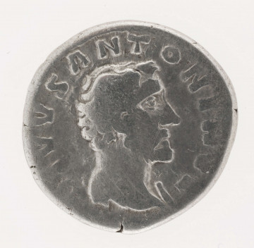 AV. Głowa Antoninusa Piusa w profilu w prawo. W otoku napis:
DIVVS ANTONINVS

RV. Płonący stos pogrzebowy. W otoku napis:
CONSECRATIO