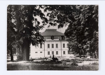 Fotografia przedstawia Pałac Małachowskich od tyłu. Budynek piętrowy, biały, o stromym dachu. Na parterze znajduje się sześć zamkniętych okien, między którym znajdują się przeszklone drzwi do których prowadzą małe schody. Na pierwszym piętrze znajduje się siedem okien. Na poddaszu widać trzy okna, jedno znajdujące się po prawej stronie jest otwarte. Przed budynkiem stoi postać w ciemnych spodniach i jasnej koszuli. Druga osoba siedzi w cieniu drzew, na ławce. Na odwrocie, w lewym, górnym rogu znajduje się, niebieski, drukowany napis: „NAŁECZÓW/ Muzeum (d. pałac Małachowskich zbudowany w 1771 r./ wg proj. F. Naxa, przebudowany w XIX w.)/ fot. A. Kaczkowski, K. Mystkomski”. W prawym, górnym rogu widnieje, niebieska prostokątna pieczątka ZFP „Ruch”. 