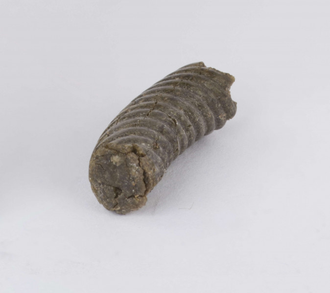 Fragment bransolety szklanej zdobionej kilkoma żłobkami, które spiralnie owijają bransoletę. Bransoleta w przekroju poprzecznym okrągła.