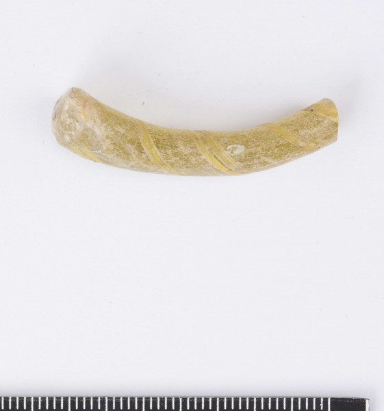 Fragment bransolety szklanej o okrągłym przekroju poprzecznym, miejscami spłaszczona. Wykonana ze szkła o kolorze żółtym z ornamentem spiralnie owijającego paska.