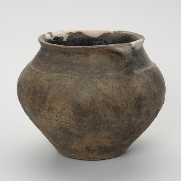 Waza typu IV (Wołągiewicz) - ujęcie z boku; Naczynie ceramiczne (waza) barwy ciemno brunatnej o chropowaconej części dolnej i wygładzanej górnej partii. Waza ma dwa przewężone ucha. Na brzuścu zdobiona chropowaconymi pasami w układzie podwójnego zygzaka. Wysokość wazy wynosi 19,8 cm, średnica brzuśca 22 cm, a średnica wylewu 21 cm.