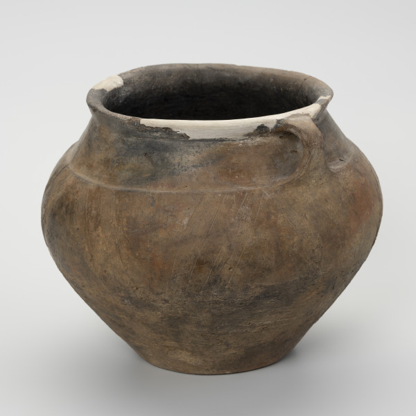 Waza typu IV (Wołągiewicz) - ujęcie z przodu; Naczynie ceramiczne (waza) barwy ciemno brunatnej o chropowaconej części dolnej i wygładzanej górnej partii. Waza ma dwa przewężone ucha. Na brzuścu zdobiona chropowaconymi pasami w układzie podwójnego zygzaka. Wysokość wazy wynosi 19,8 cm, średnica brzuśca 22 cm, a średnica wylewu 21 cm.