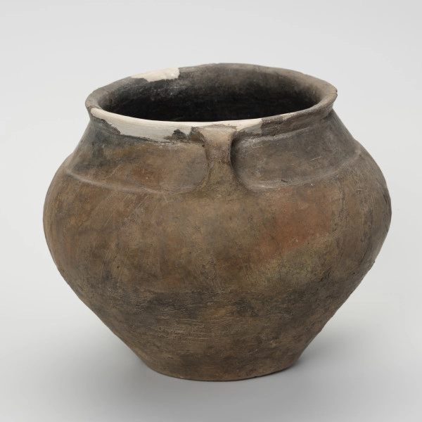 Waza typu IV (Wołągiewicz) - ujęcie z boku; Naczynie ceramiczne (waza) barwy ciemno brunatnej o chropowaconej części dolnej i wygładzanej górnej partii. Waza ma dwa przewężone ucha. Na brzuścu zdobiona chropowaconymi pasami w układzie podwójnego zygzaka. Wysokość wazy wynosi 19,8 cm, średnica brzuśca 22 cm, a średnica wylewu 21 cm.