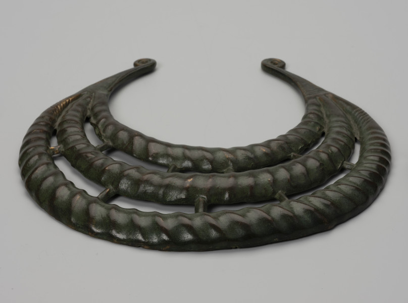 Naszyjnik kołnierzowaty - ujęcie z góry; Brązowy naszyjnik kołnierzowaty zwany także napierśnikiem składa się z trzech półksiężycowatych obręczy o różnej średnicy, zestawionych w koncentryczny układ. Ich końce schodzą się ze sobą, tworząc wspólne zakończenie w formie niewielkich wolutowych uszek. W wolnych przestrzeniach między kręgami znajdują się krótkie, proste poprzeczne łączniki: 5 między zewnętrzną i środkową obręczą i 4 między środkową i wewnętrzną. Kręgi mają przekrój poprzeczny C-kształtny. Powierzchnie ozdoby dekoruje ukośne żłobkowanie imitujące skręcony sznur. Na największej zewnętrznej obręczy, w pobliżu łączenia z innymi, widoczne są pasma ukośnych nacięć, po siedem z każdej strony. Na obydwu końcach naszyjnika wyryto motywy trójkąta. Barwa ciemnobrązowa ze śladami zielonej patyny w zagłębieniach żłobkowania, na jednym z końców w obszarze ukośnych nacięć złotawa.