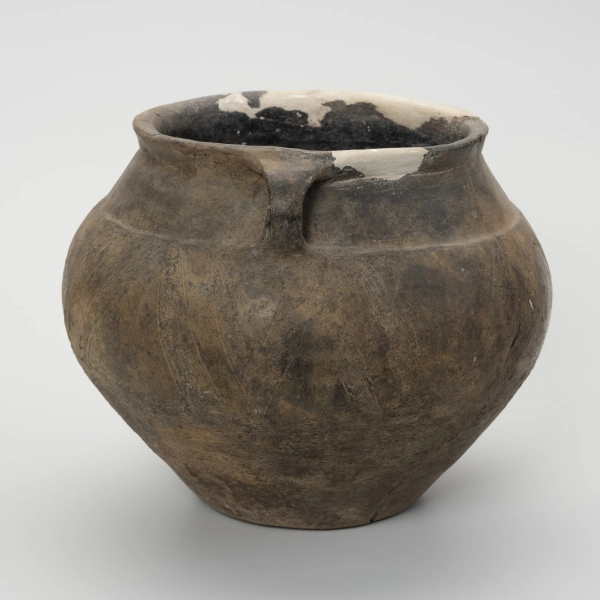 Waza typu IV (Wołągiewicz) - ujęcie z boku; Naczynie ceramiczne (waza) barwy ciemno brunatnej o chropowaconej części dolnej i wygładzanej górnej partii. Waza ma dwa przewężone ucha. Na brzuścu zdobiona chropowaconymi pasami w układzie podwójnego zygzaka. Wysokość wazy wynosi 19,8 cm, średnica brzuśca 22 cm, a średnica wylewu 21 cm.