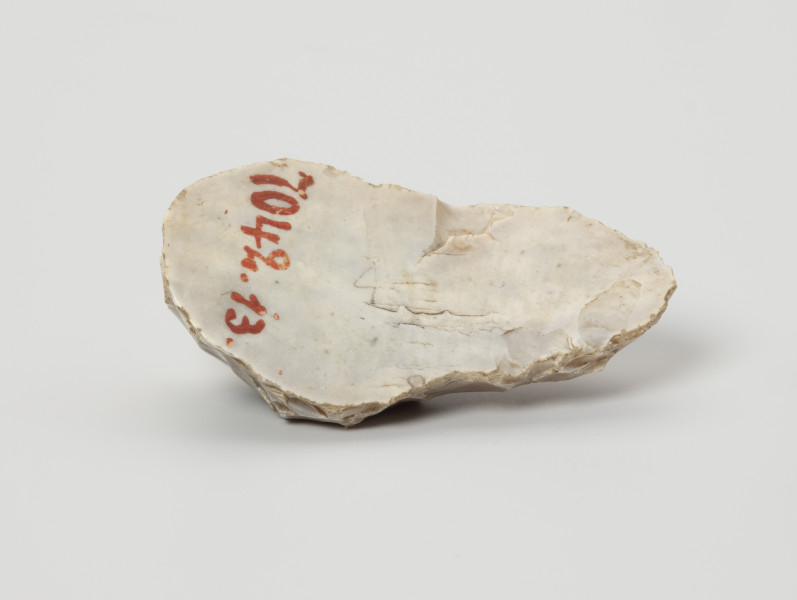 Drapacz - ujęcie z dołu; Drapacz  wykonany na wiórze, o całkowicie zaretuszowanych bokach, co zbliża go do drapaczy hamburskich. Na stronie spodniej zabytku widoczne są wyłamania i tzw. retusz użytkowy, który powstał na skutek zastosowania oprawy wykonanej z kości, poroża lub drewna. Na krawędzi pracującej nie widać żadnych śladów użytkowania, co sugeruje, że pierwotnie narzędzie było dłuższe i zostało porzucone krótko po naprawie.