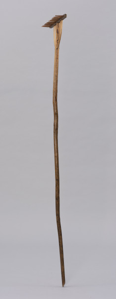 Grabie drewniane dwunastozębne - ujęcie z boku; Grabie drewniane dwunastozębne o długim trzonku z okorowanego, lekko wygiętego kawałka drewna, ściętym na końcu, a bezpośrednio przed częścią pracującą, po jednej stronie opracowany płasko. U góry część pracująca składa się z prostokątnej listwy osadzonej prostopadle na trzonku. W listwę wpuszczonych jest dwanaście zębów.