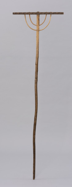 Grabie drewniane dwunastozębne - ujęcie z przodu; Grabie drewniane dwunastozębne o długim trzonku z okorowanego, lekko wygiętego kawałka drewna, ściętym na końcu, a bezpośrednio przed częścią pracującą, po jednej stronie opracowany płasko. u góry część pracująca składa się z prostokątnej listwy osadzonej prostopadle na trzonku. W listwę wpuszczonych jest dwanaście zębów. Konstrukcję grabi wzmacniają dwa rzędy łukowato wygiętych, okorowanych pałąków wykonanych prawdopodobnie z wierzbowej wici.