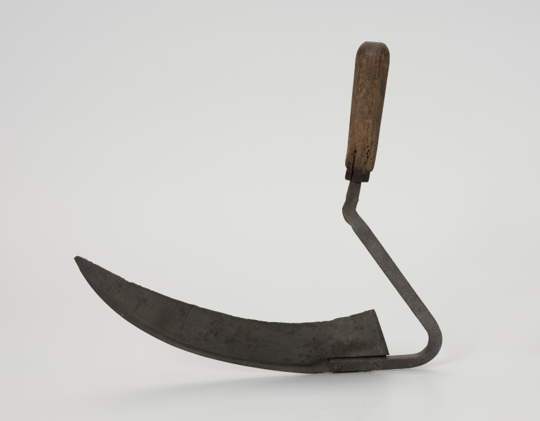 Półkosek - ujęcie z tyłu; Półkosek składający się z żelaznego ostrza i drewnianego uchwytu  kształtem podobny jest do małej kosy. Żelazne, wydłużone ostrze zwężające się ku końcowi tworzy szpiczaste zakończenie, które osadzone jest na żelaznym, wygiętym skośnie kosisku przymocowanym za pomocą dwóch nitów do drewnianej, toczonej rękojeści, zakończonej bolcem.