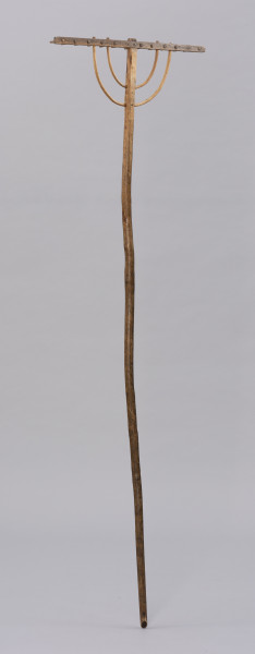 Grabie drewniane dwunastozębne - ujęcie z tyłu; Grabie drewniane o długim trzonku z okorowanego, lekko wygiętego kawałka drewna, ściętym na końcu, a bezpośrednio przed częścią pracującą, po jednej stronie opracowany płasko. Część pracująca składa się z prostokątnej listwy osadzonej prostopadle na trzonku. Z listwy z tyłu widocznych 12 plytkich kołków. Konstrukcję grabi wzmacniają dwa rzędy łukowato wygiętych, okorowanych pałąków wykonanych prawdopodobnie z wierzbowej wici.