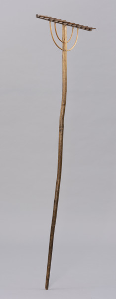 Grabie drewniane dwunastozębne - ujęcie ze skosu z lewej; Grabie drewniane dwunastozębne o długim trzonku z okorowanego, lekko wygiętego kawałka drewna, ściętym na końcu, a bezpośrednio przed częścią pracującą, po jednej stronie opracowany płasko. Część pracująca składa się z prostokątnej listwy osadzonej prostopadle na trzonku. W listwę wpuszczonych jest dwanaście zębów. Konstrukcję grabi wzmacniają dwa rzędy łukowato wygiętych, okorowanych pałąków wykonanych prawdopodobnie z wierzbowej wici.