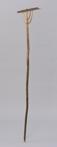 Grabie drewniane dwunastozębne - ujęcie z tyłu ze skosu; Grabie drewniane dwunastozębne o długim trzonku z okorowanego, lekko wygiętego kawałka drewna, ściętym na końcu, a bezpośrednio przed częścią pracującą, po jednej stronie opracowany płasko. Część pracująca składa się z prostokątnej listwy osadzonej prostopadle na trzonku. W listwę wpuszczonych jest dwanaście zębów. Konstrukcję grabi wzmacniają dwa rzędy łukowato wygiętych, okorowanych pałąków wykonanych prawdopodobnie z wierzbowej wici.