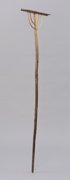 Grabie drewniane dwunastozębne - ujęcie ze skosu; Grabie drewniane dwunastozębne o długim trzonku z okorowanego, lekko wygiętego kawałka drewna, ściętym na końcu, a bezpośrednio przed częścią pracującą, po jednej stronie opracowany płasko. Górna część pracująca składa się z prostokątnej listwy osadzonej prostopadle na trzonku. W listwę wpuszczonych jest dwanaście zębów. Konstrukcję grabi wzmacniają dwa rzędy łukowato wygiętych, okorowanych pałąków wykonanych prawdopodobnie z wierzbowej wici.