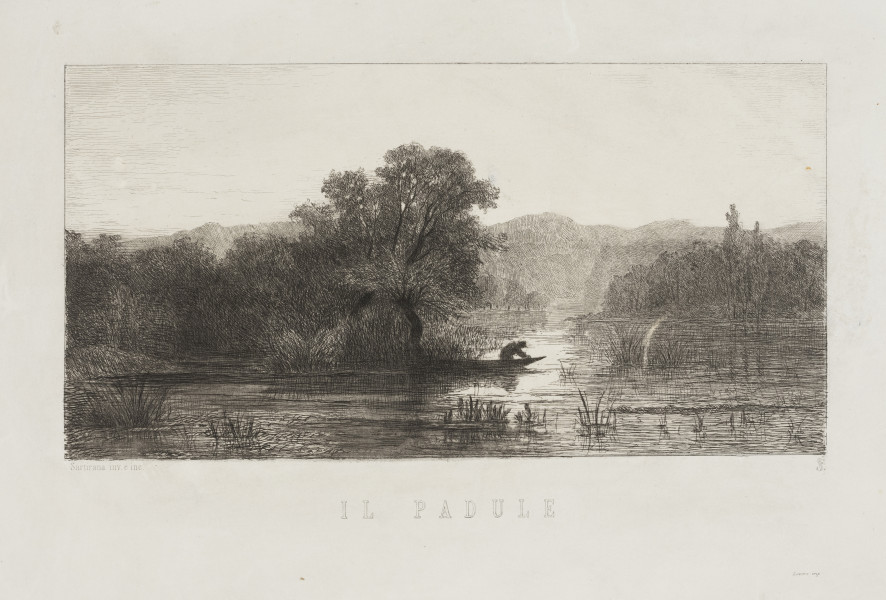 pejzaż - Bagno - ujęcie z przodu; Rycina z teki grafik warsztatowych Stowarzyszenia Artystów włoskich L’acquaforte. Società d’artisti Italiani, wydanego w Turynie przez Carla Loverę, rocznik II, 1870 przedstawia panoramę bagien i mokradeł. W prostokątnym, poziomym obramieniu konturowym widok rozległego pejzażu włoskiej równiny otoczonej pasmem górskim widocznym na horyzoncie. Na pierwszym planie płytkie rozlewisko porośnięte trzcinami. W głębi po lewej stronie, przy brzegu, na którym rośnie stare drzewo, na tle oświetlonej wody widoczna sylwetka pochylonego rybaka na dziobie łódki. Dalekie brzegi otaczające bagno porośnięte są lasem łęgowym.