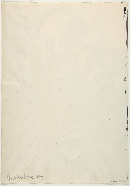 Rysunek utrzymany w tonacji czarno-biało-szarej, został zastosowany gradient kolorystyczny w całej kompozycji – od najciemniejszej tonacji u dołu i w prawym dolnym narożu rysunku do zupełnie jasnej – w lewym górnym rogu. Kompozycja przedstawia tłum postaci w różnych, bardzo dynamicznych pozach, które sugerują zamachiwanie się i rzuty. Wszystkie te figury skierowane są w stronę jasnego, lewego górnego narożnika. W dłoniach ludzi oraz pomiędzy nimi widać kuliste, niewielkie kształty, wszystkie zaznaczone jednolitym, szarym kolorem. Wszystkie postaci narysowane są konturowo, czarnym cienkopisem, z jednolitym wypełnieniem kolorystycznym zależnym od tonacji części kompozycji, w której się znajdują. Sylwetki są ekspresyjne i z charakterystycznymi dla artystki zniekształceniami, nie mają zaznaczonych detali fizjonomicznych ani strojów.