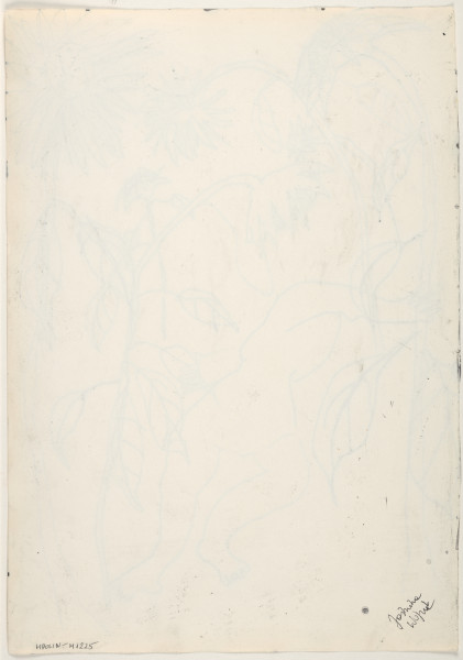 Rysunek utrzymany w tonacji czarno-białej. Wszystkie elementy przedstawione są w sposób uproszczony, jedynie konturem. Po obu stronach kompozycji widać bardzo wysokie łodygi o dużych, kwitnących kwiatach, z których część ugina się ku dołowi. Pomiędzy nimi, w środku rysunku, widać postać w sukience, leżącą na plecach. Jej głowa jest niewidoczna, ręce leżą rozrzucone na krzyż, stopy są bose.