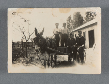 Monochromatyczna fotografia przedstawiająca czterech mężczyzn: dwóch w białych koszulach na wozie z osłem, dwóch rowerach w garniturach. Po prawej niski budynek wiejski. Papier fot. SELO. Oznaczenia papieru fotograficznego na rewersie – pięć napisów – obwiedzione rombami tą samą ręką, która napisała dedykację (być może to żartobliwe nawiązanie do jakiegoś słowa znanego w środowisku; faktycznie ''selo'' funkcjonuje, w różnych znaczeniach, w różnych językach).Mania w 1936 r. przebywała już w Palestynie, nie wiemy, czy to jakiś żart osób przebywających tam z nią, czy pozostałych w Polsce kolegów.Liczne i różnokształtne niewielkie przebarwienia na rewersie, także na awersie.Krawędzie proste. Lewy górny róg urwany (?) , prawy górny przycięty.