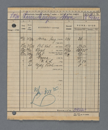 Na dwujęzycznym - w j. polskim i hebrajskim - szablonie druku, wypełnionym czarnym piórem, ołówkiem kopiowym(?) i niebieską kredką; nr LR/11; 2 dziurki od dziurkacza przy lewej krawędzi.W nagłówku widnieje nazwisko Lerer, ponieważ Miriam (Mariem, Mania) Żelazna oficjalnie podawała się za żonę kolegi, Eljasza Lerera, by dostać się do Palestyny.Dwie pierwsze pozycje wylistowane to wiza angielska i bilet kolejowy, pierwsza w rubryce daty ma wskazany dzień 28.11.[1935], kolejna - 8.12, taki jak ostatnia mają również kolejne pozycje. Łączna suma opłat wynosiła 342,25 (złotych? jeśli tak, byłaby to równowartość np. około 1/3 wysokiej ówczesnej miesięcznej pensji profesorskiej w Polsce).W dolnej części stempel: DOPŁACONO dn._____ZŁ____ - wpisano na nim odręcznie: datę 10/12[.1935] i sumę 304,25. Poniżej tą samą kredką: L - parafka?Brak na dokumencie innych stempli czy adnotacji, które wskazywałyby wystawcę dokumentu. Poselstwo angielskie? Pośrednik zajmujący się przejazdami do Palestyny?Strona verso niezadrukowana ani niezapisana.