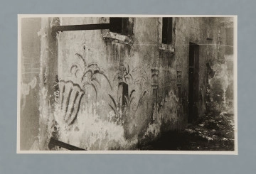 MPOLIN-A3.2.7 Fotografia uchwyconych pod skosem malunków – głównie florystycznych (m.in. palmy) – na ścianie, w której widocznym w kadrze fragmencie znajdują się dwa okna i, po prawej, drzwi. Ze ściany, po lewej, wystają dwa pręty, jeden u góry, drugi pod nim, u dołu (widoczny częściowo). Ze względu na te malowidła na ścianach zewnętrznych kantyna dla esesmanów była nazywana teatrem, amfiteatrem, cyrkiem.Krawędzie proste, niewielki biały margines.