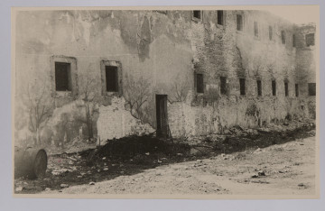 Fotografia uchwyconej pod skosem ściany dwukondygnacyjnego budynku, także fragmentu odchodzącej od niej pod kątem prostym drugiej ściany; po prawej u góry widoczny skrawek bardzo jasnego nieba. Blisko środka widoczne wejście bez drzwi, po lewej od niego dwa puste, czarne okna, po prawej siedem okien w tej ścianie, nad nimi siedem kolejnych; w ścianie po prawej – widoczne dwa okna (po jednym u góry i na dole).
Ściana, zwłaszcza po prawej, w dużej części bez tynku, widoczne cegły. Na tynku zachowanym u dołu widoczne pozostałości namalowanych drzew bez liści.
Krawędzie proste, niewielki biały margines.