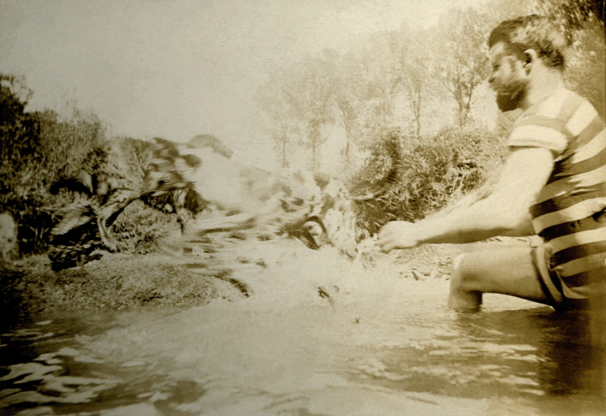 Na zdjęciu znajduje się mężczyzna we wodzie bawiący się z dwoma psami. 