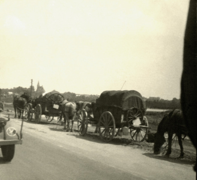 Na zdjęciu znajduja się konne tabory jadące drogą jeden za drugim.