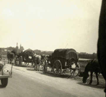 Na zdjęciu znajduja się konne tabory jadące drogą jeden za drugim.