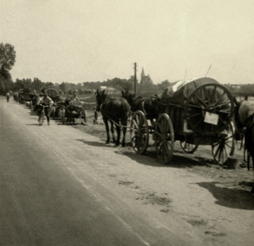 Na zdjęciu widać konne tabory jadące drogą jeden za drugim.