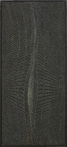 malarstwo; obraz; Obraz pionowy I - Ujęcie z przodu obrazu w ramie. Kompozycja reliefowa, monochromatyczna. Centralnie przez wysokość obrazu w pionie przebiega falista, smukła forma, przypominajaca pęknięcie. Nieco poniżej środka rozszerza się i wybrzusza, ukazując popękaną powierzchnię, po czym znów zwęża się i schodzi ku dolnej krawędzi pionowymi wypukłymi liniami. Z lewej i prawej strony fakturowe układy symetrycznych sfałdowanych prążkowań, nawiązujących do regularnie ustrukturyzowanych biologicznych komórek, w górze obrazu ukośnie wznoszą się, w dole opadają. Punkt ich zbiegu znajduje się poza krawędziami kompozycji, poniżej połowy szerokości obrazu. Całość polichromowana czernią.