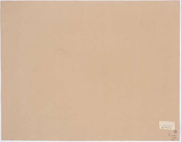 Scena historyczna przedstawiająca obrady sejmu polskiego pod przewodnictwem króla Zygmunta II Augusta. W centrum siedzący na tronie król, wokół  niego, na ustawionych w podkowę ławach siedzą magnaci, szlachta oraz duchowieństwo. Za nimi stojący uczestnicy obrad. Za oknami widok miasta - Krakowa.

Odbitka na podstawie drzeworytu Wendelina Scharffenberga. Ilustracja z wydania J. Herburta Statua y Przywileie koronne.