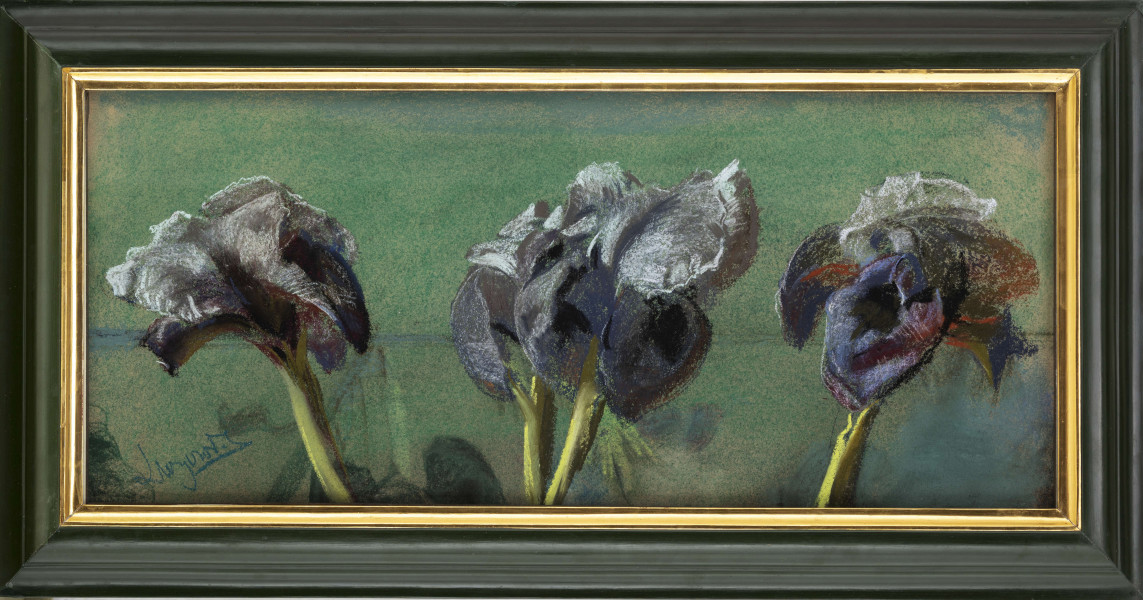 Martwa natura z kwiatami. Kompozycja w poziomym prostokącie z przedstawieniem czterech kwiatostanów irysów wraz z krótkimi fragmentami łodyg. Kwiaty ujęte w zbliżeniu,  symenrycznie zakomponowane na gładkiej płaszczyźnie zielonego tła.