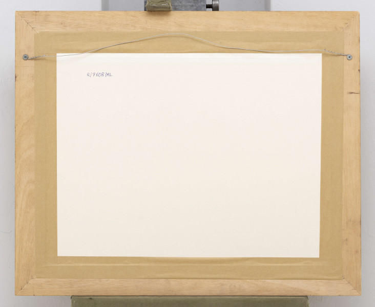 Scena historyczna przedstawiająca obrady sejmu polskiego pod przewodnictwem króla Zygmunta II Augusta. W centrum siedzący na tronie król, wokół  niego, na ustawionych w podkowę ławach siedzą magnaci, szlachta oraz duchowieństwo. Za nimi stojący uczestnicy obrad. Za oknami widok miasta - Krakowa.

Odbitka na podstawie drzeworytu Wendelina Scharffenberga. Ilustracja z wydania J. Herburta Statua y Przywileie koronne.