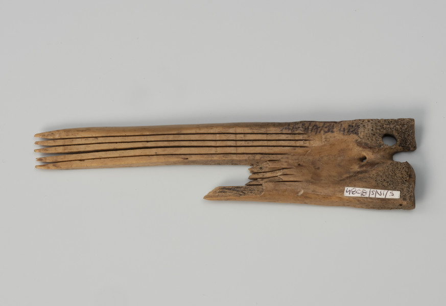 grzebień długi - Ujęcie z dołu; Zabytek ma postać płaskiej, wąskiej, dość długiej płytki kościanej, z wyciętymi w dolnym krótszym boku, równoległymi nacięciami o znacznej długości. Powierzchnia nieopracowana, dość surowy wygląd powstały w wyniku wycinania płytki, z widocznymi śladami piły. Zęby, pierwotnie 7 sztuk, wycięto za pomocą piły o niewielkiej grubości. Końcówki zębów zostały zaostrzone. W części prawej pozbawionej zębów wywiercono niewielki otwór. Egzemplarz jest uszkodzony, zachowała się w całości tylko połowa części zębatej.