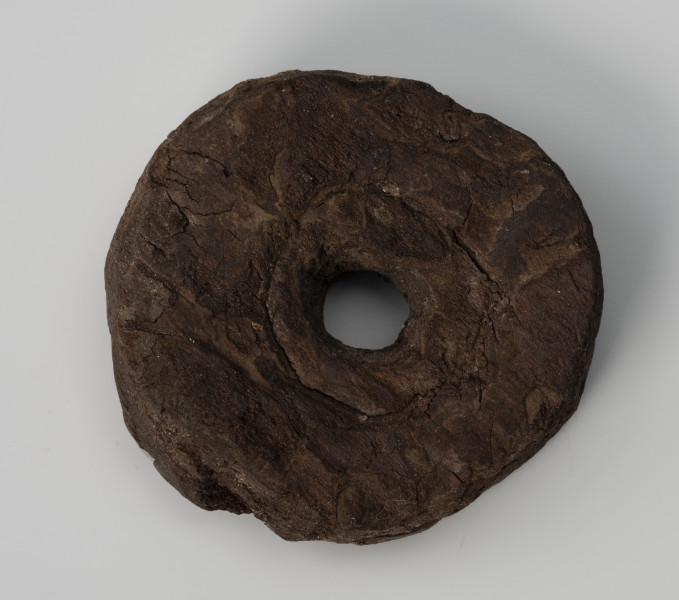 pływak - Ujęcie z góry; Pływak wykonano z kawałka kory drzewa iglastego. Zabytek kształtem zbliżony jest do nieregularnego koła. W środku przedmiotu znajduje się otwór przelotowy. Na powierzchni znajdują się widoczne ślady obróbki wykonanej za pomocą ostrego noża.