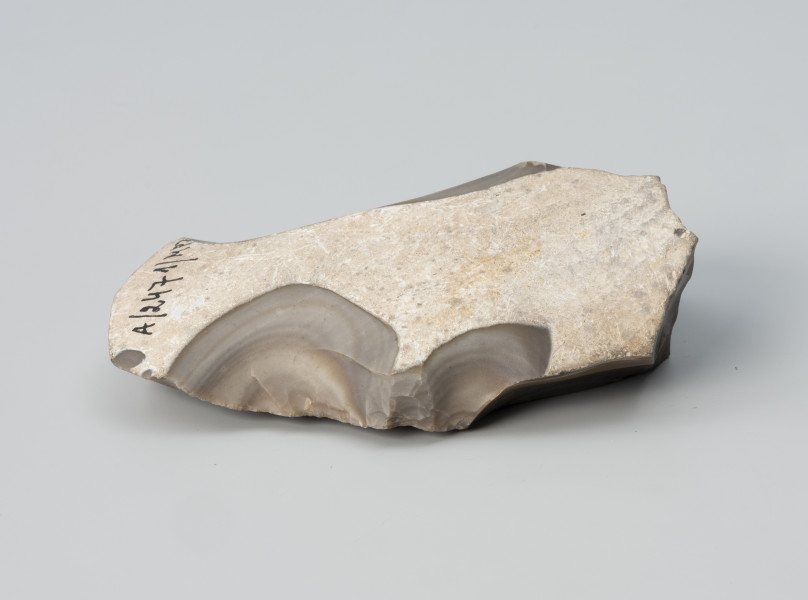 półwytwór narzędzia - Ujęcie z boku od dołu; Masywny odłupek krzemienia pasiastego, część większej bryły. Pęknięcie w części dystalnej sugeruje, że był on dużo większy. Strona wierzchnia pokryta jest cienką, gładką korą, częściowo zdjętą kilkoma uderzeniami, które wstępnie nadały kształt przedmiotowi.