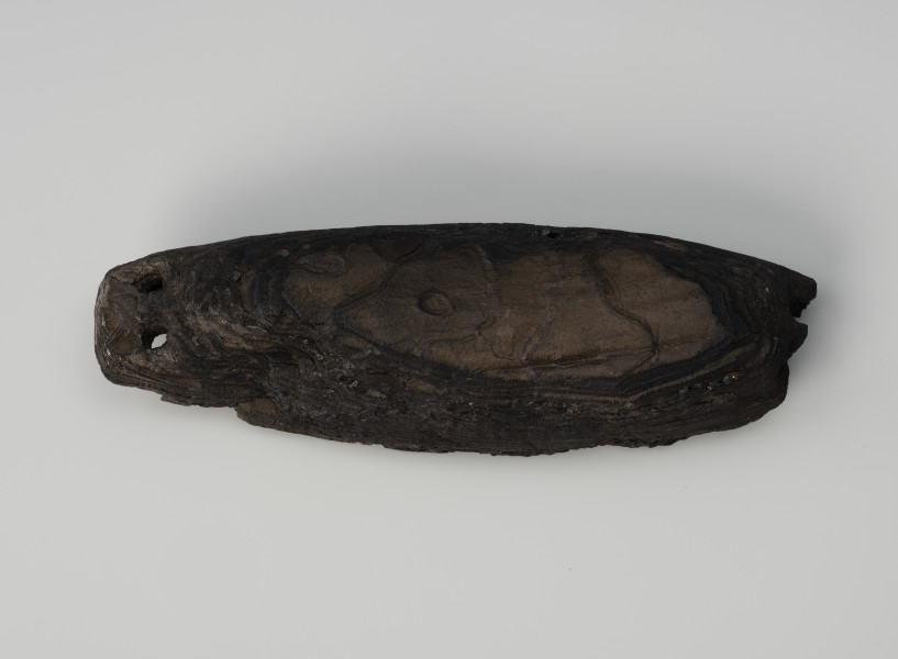 pływak do sieci - Ujęcie z góry; Pływak wykonany z jednego, dość dużego kawałka kory, najpewniej sosnowej. Posiada formę wydłużoną i zaopatrzony jest pod dwa otwory do przeciągania liny na obu końcach. Prawy koniec został odłamany przez co otwory są słabo czytelne.