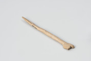 szpila kościana do spinania włosów lub szat - Ujęcie ze skosu z prawej; Ozdobna szpila wykonana z kości zwierzęcej. Z jednej strony ma zaostrzoną końcówkę, z drugiej natomiast zakończona była płaskim zgrubieniem o nieregularnym kształcie.